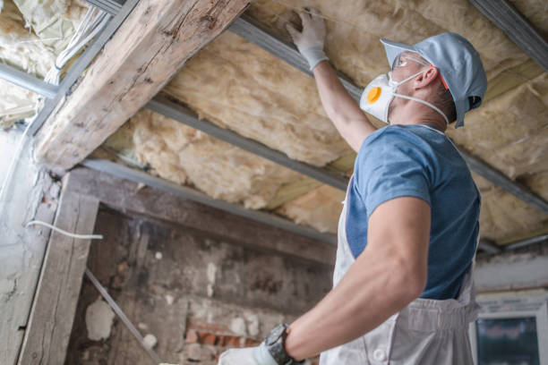 Types of Insulation We Offer in Westminster, CA